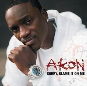 Akon-Sorry , Blame On It Me