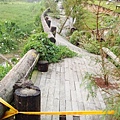 民宿前的步道／因為大地震和颱風而變的觸目驚心