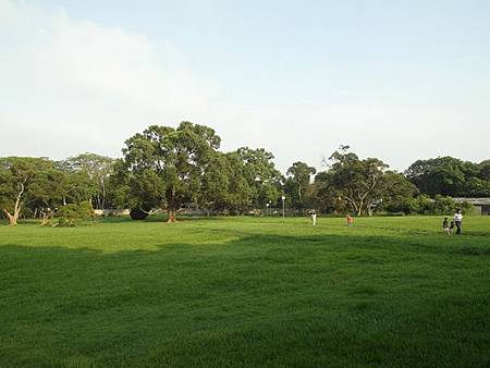 東海大學草坪.JPG