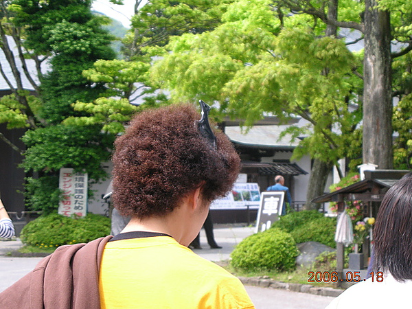 頭上很愛插梳子的日本同學....jpg