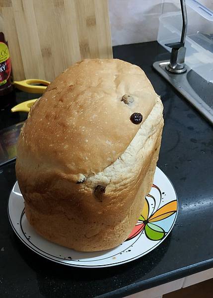 88331305_10206850832385121_3049730206714560512_o.jpg 88331305_10206850832385121_3049730206714560512_o.jpg