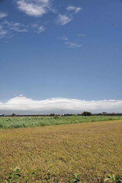 DSC_2029 DSC_2029