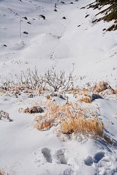 DSC_8374.jpg DSC_8374.jpg
