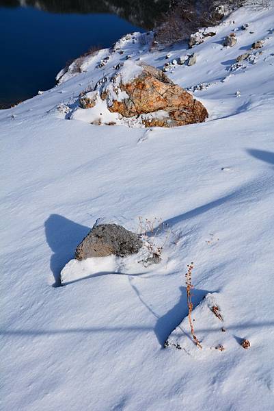 DSC_8388.jpg DSC_8388.jpg
