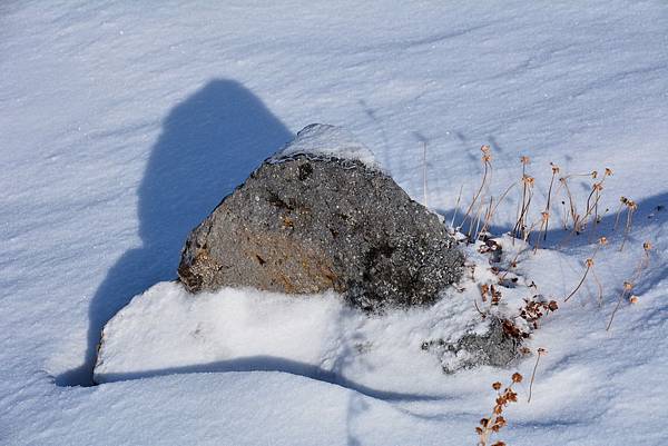 DSC_8389.jpg DSC_8389.jpg