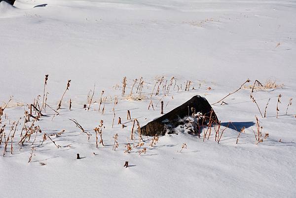 DSC_8419.jpg DSC_8419.jpg