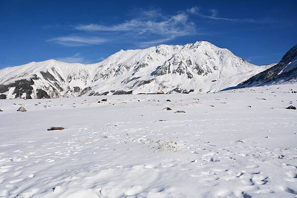 DSC_8422.jpg DSC_8422.jpg