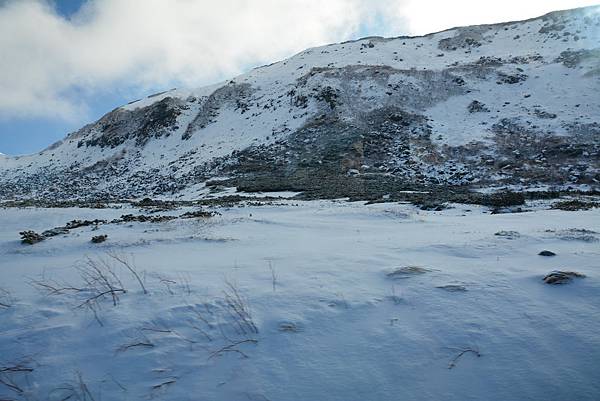 DSC_8442.jpg DSC_8442.jpg