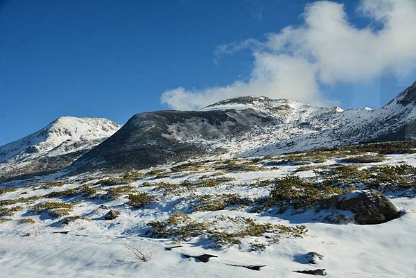 DSC_8444.jpg DSC_8444.jpg