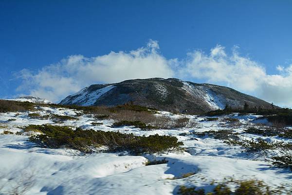 DSC_8450.jpg DSC_8450.jpg