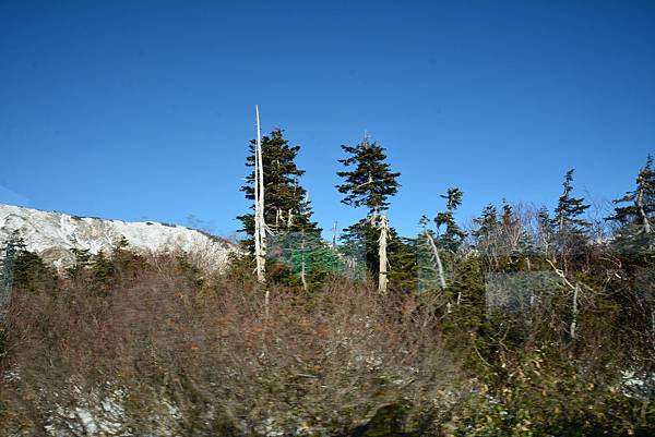 DSC_8456.jpg DSC_8456.jpg