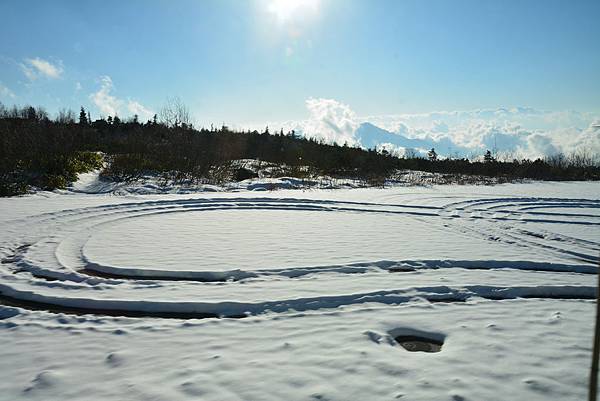 DSC_8458.jpg DSC_8458.jpg