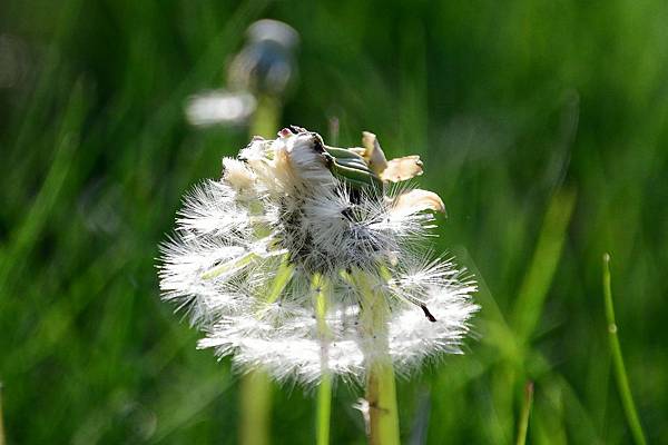 DSC_4227.jpg DSC_4227.jpg