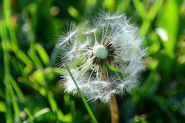 DSC_4235.jpg DSC_4235.jpg