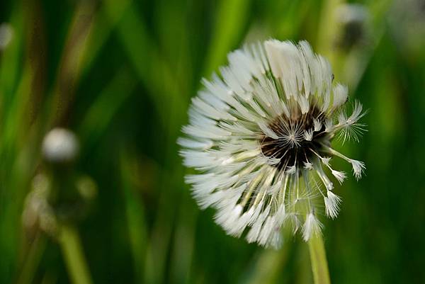 DSC_4435.jpg DSC_4435.jpg