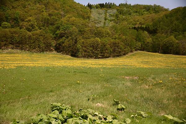 DSC_4511.jpg DSC_4511.jpg