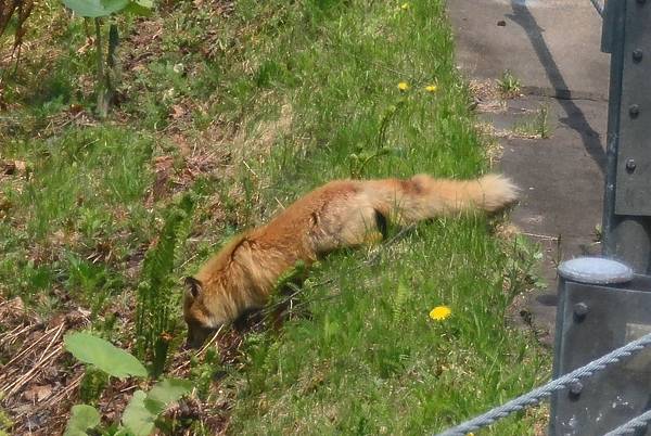 DSC_4634.jpg DSC_4634.jpg