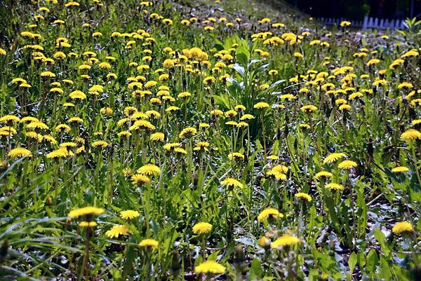 DSC_5779.jpg DSC_5779.jpg