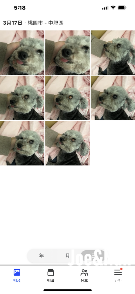 3C開箱Synology BeeStation,打造個人家 3C開箱Synology BeeStation,打造個人家