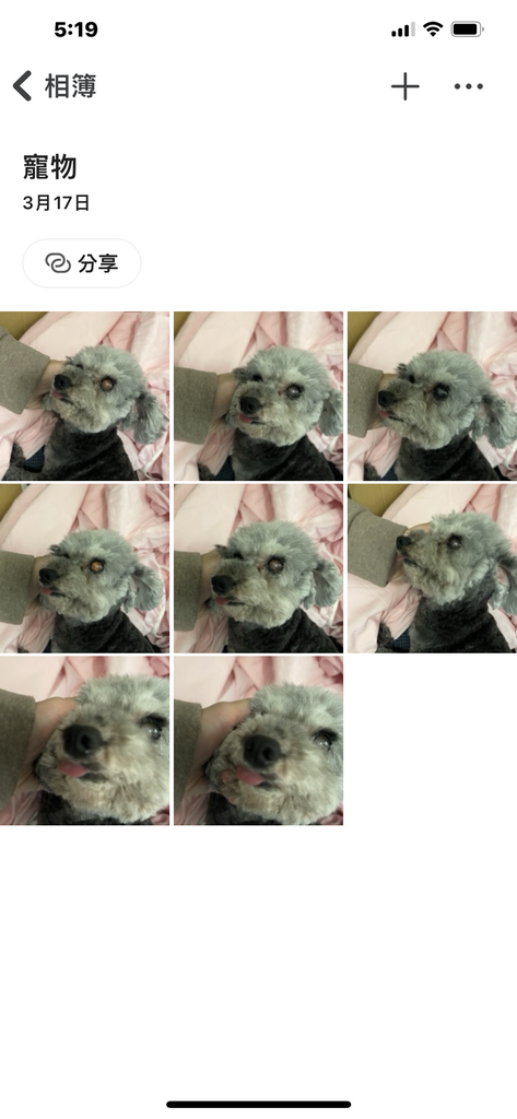 3C開箱Synology BeeStation,打造個人家 3C開箱Synology BeeStation,打造個人家