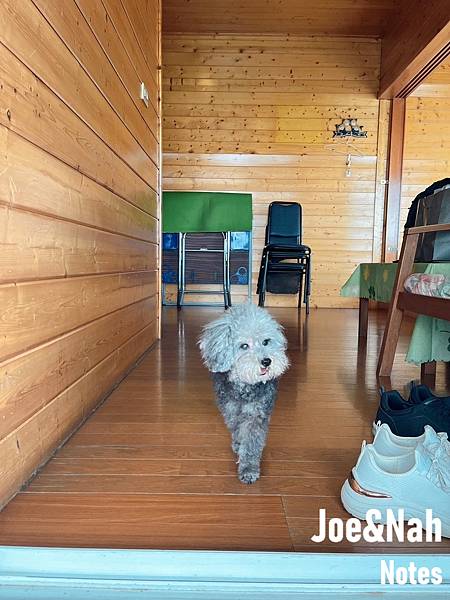 南投寵物友善住宿推薦清境藍天花園小木屋開箱&入住心得,帶狗 南投寵物友善住宿推薦清境藍天花園小木屋開箱&入住心得,帶狗