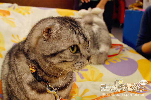 未命名檔案夾 2-DSC_9874.jpg