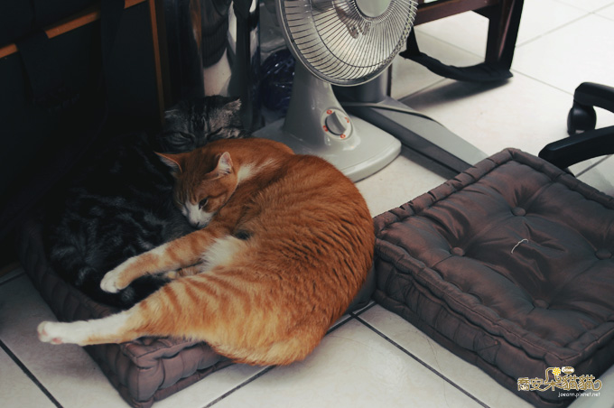 DSC_0294.jpg DSC_0294.jpg