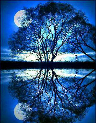 xinsrc_28209042109038592776072.jpg xinsrc_28209042109038592776072.jpg