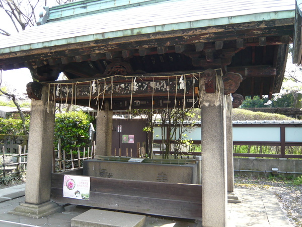 東照宮一景