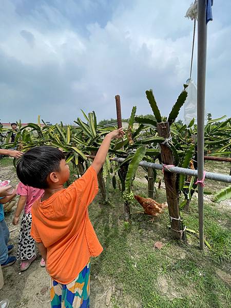 台南住宿推薦 沒想過住飯店還能玩控窯 釣魚 而且還有遊戲室 