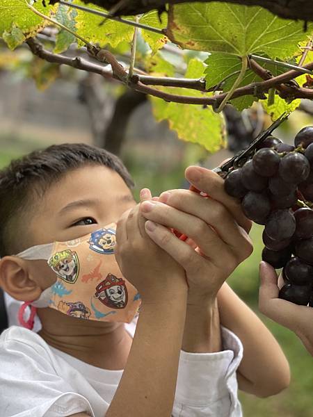台中住宿推薦統一渡假村-台中谷關館 真的比你想的還要好玩