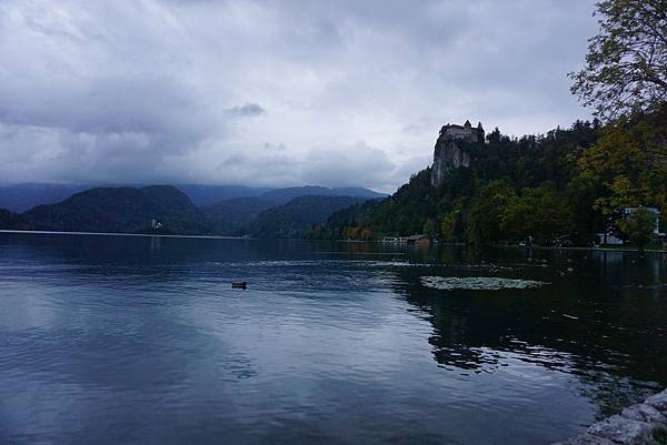 DSC02556.JPG DSC02556.JPG