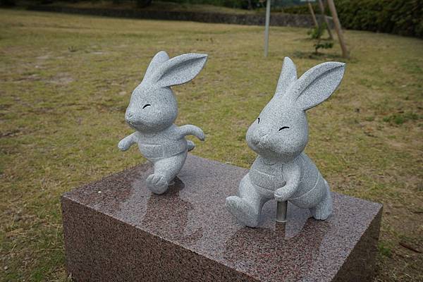 DSC04971.JPG DSC04971.JPG