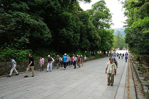 DSC04979.JPG DSC04979.JPG