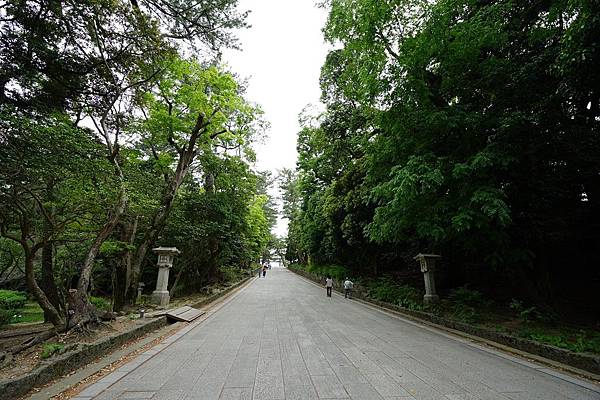 DSC04977.JPG DSC04977.JPG