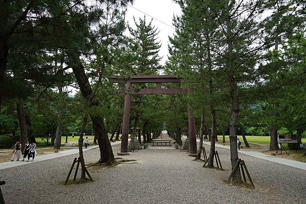 DSC04980.JPG DSC04980.JPG