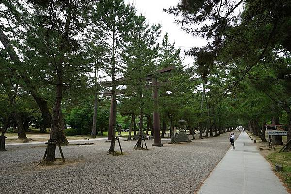 DSC04983.JPG DSC04983.JPG