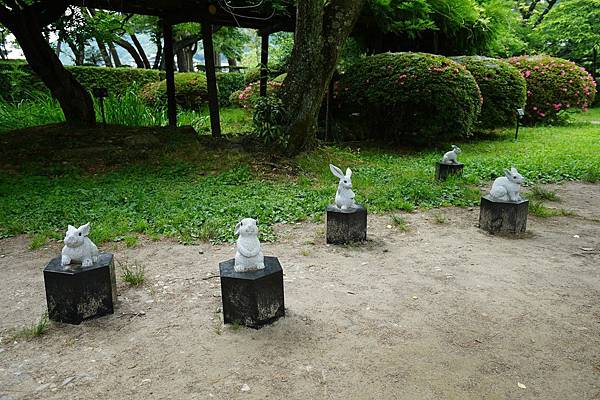 DSC04987.JPG DSC04987.JPG