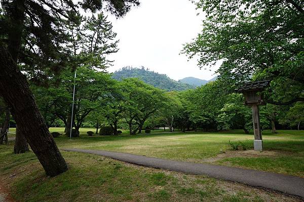 DSC04982.JPG DSC04982.JPG