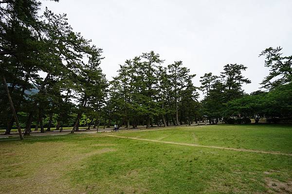 DSC04989.JPG DSC04989.JPG