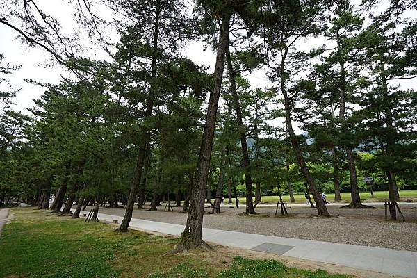 DSC04990.JPG DSC04990.JPG