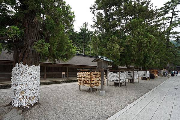 DSC05016.JPG DSC05016.JPG