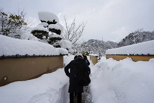 DSC05398.JPG DSC05398.JPG