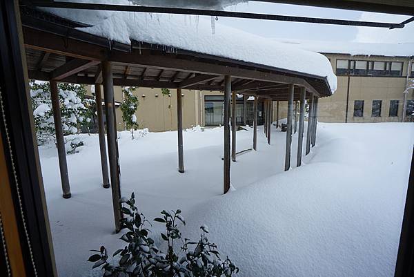 DSC05399.JPG DSC05399.JPG