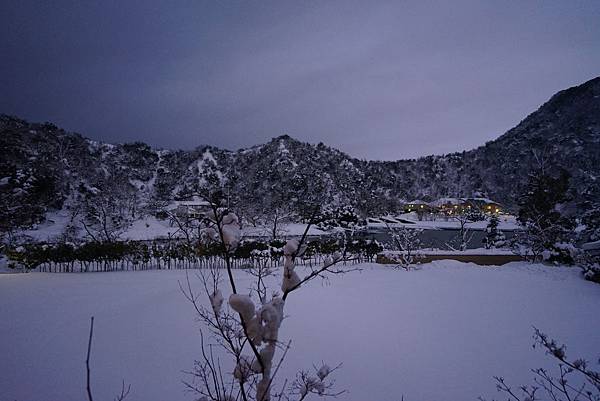 DSC05428.JPG DSC05428.JPG