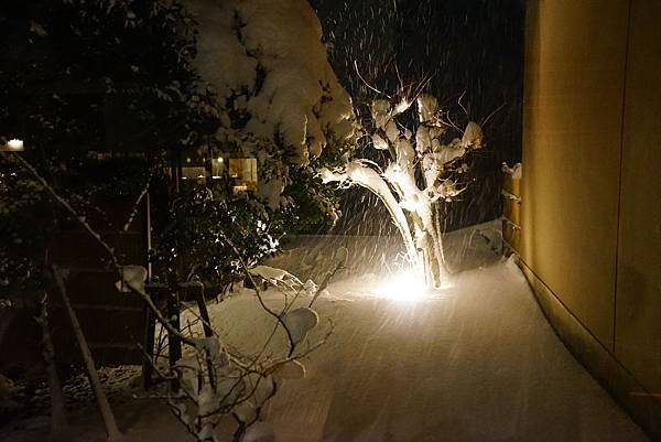 DSC05450.JPG DSC05450.JPG