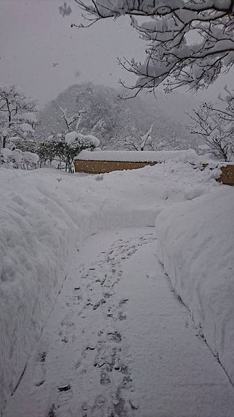 DSC_5774.JPG DSC_5774.JPG