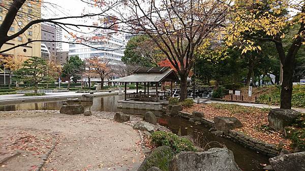 DSC_6644.jpg DSC_6644.jpg