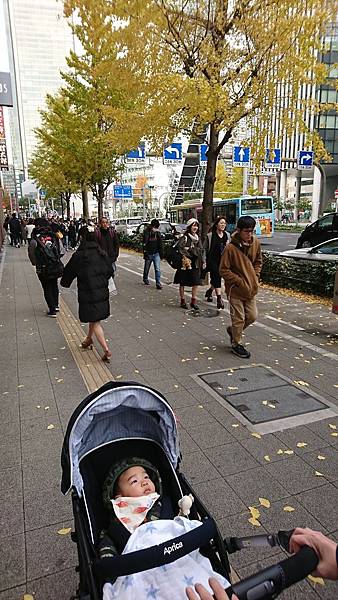 DSC_6598.jpg DSC_6598.jpg