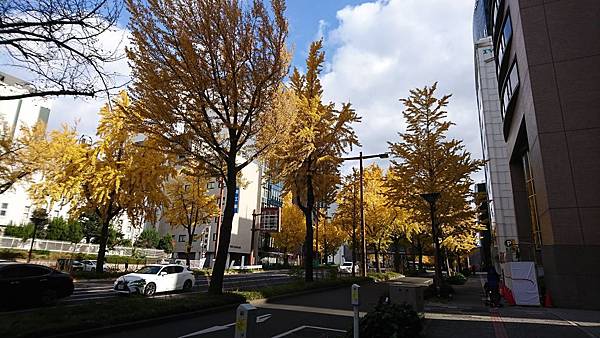 DSC_6627.jpg DSC_6627.jpg